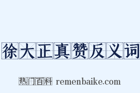 徐大正真赞反义词是什么意思的图片
